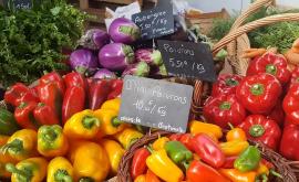 Les Jardins de la Rue produits - Au rendez-vous des Normands