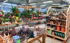 Les jardins d'avremesnil intérieur - Au rendez-vous des Normands