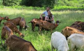 Chèvrerie Le petit Saint- Poisien extérieur1 - Au rendez-vous des Normands