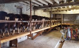 Ferme de la Bourdinière - Au rendez-vous des Normands