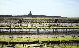 Huîtres Hélie extérieur - Au rendez-vous des Normands