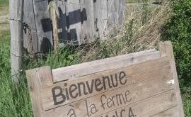 La Ferme de TANGA extérieur1 - Au rendez-vous des Normands