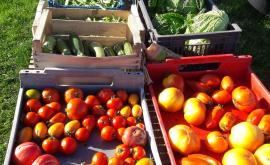 La Ferme de TANGA vente à la ferme - Au rendez-vous des Normands