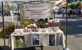 Les Minis de l'Arbalète stand - Au rendez-vous des Normands