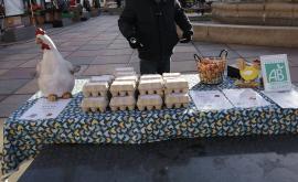 Nos Chairs Poules Ô Bio stand - Au rendez-vous des Normands