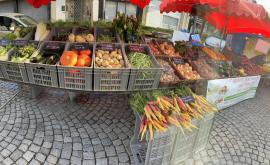 SCEA de la lisière du bois marché - Au rendez-vous des Normands