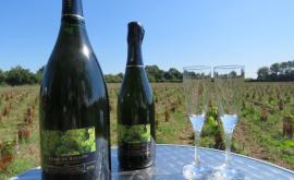 Terre de Rollon - Au rendez-vous des Normands