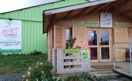 Les bons légumes de Sophie - Au rendez-vous des Normands