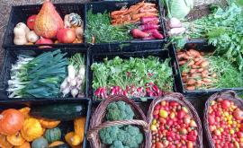 La ferme des Roches légumes - Au rendez-vous des Normands