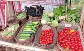 La ferme des Roches légumes1 - Au rendez-vous des Normands