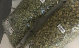 Houblons de Lictot produit 1 - Au rendez-vous des Normands