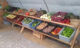 Le Jardin Des Marais produit - Au rendez-vous des Normands