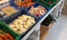 Les Jardins de la Muance magasin - Au rendez-vous des Normands