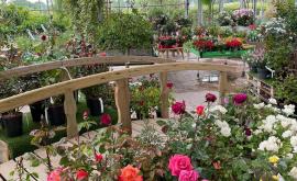 Pépinières et paysages d'Elle - Au rendez-vous des Normands