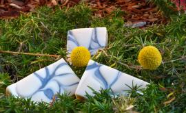 Clem'nature - Au rendez-vous des Normands