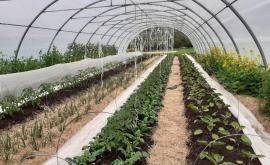 Au pré du Château extérieur - Au rendez-vous des Normands