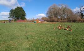 Cotentine'oeufs exterieur1 - Au rendez-vous des Normands