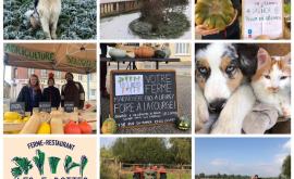 Les 5 Bottes présentation - Au rendez-vous des Normands