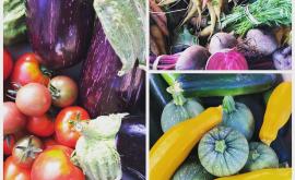 Les 5 Bottes produits - Au rendez-vous des Normands