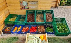 Les Jardins de Coqueré produits - Au rendez-vous des Normands