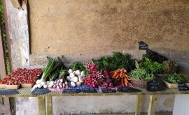 Les Jardins du Theil stand - Au rendez-vous des Normands