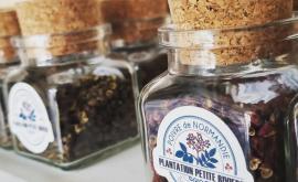 Plantation Petite Rivière intérieur - Au rendez-vous des Normands