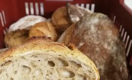 Ferme du Ru Paisible - Au rendez-vous des Normands - Au rendez-vous des Normands