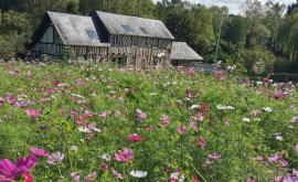 Fleurs de la Clarté extérieur - Au rendez-vous des Normands