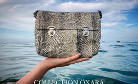 Sutor druidae sac - Au rendez-vous des Normands