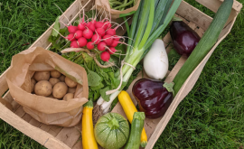 Jardin de la bise panier - Au rendez-vous des Normands