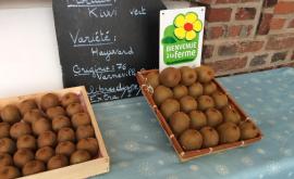 Gaec du printemps kiwi - Au rendez-vous des Normands