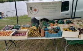 La ferme des friers stand - Au rendez-vous des Normands