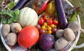 Le Potager du Perron produit - Au rendez-vous des Normands