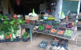 Ferme  Jamato - Au rendez-vous des Normands