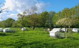 Les Lapins d'Estelle extérieur - Au rendez-vous des Normands