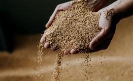 Maison Dupont - Au rendez-vous des Normands