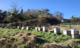 Ferme Le Cèdre miel - Au rendez-vous des Normands