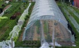 Permassiette - Au rendez-vous des Normands