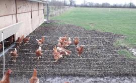 Ferme de l'Herbellerie extérieur - Au rendez-vous des Normands