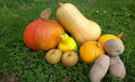 Ferme de l'Herbellerie produits1 - Au rendez-vous des Normands