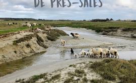 La Cotentine Moderne 1- Au rendez-vous des Normands