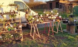 Les Phytophages stand - Au rendez-vous des Normands