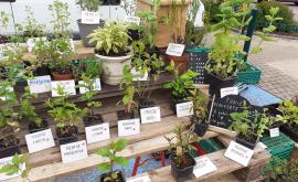 Les Phytophages stand1 - Au rendez-vous des Normands