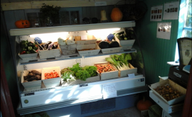 Les jardins d'orties intérieur - Au rendez-vous des Normands