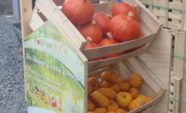 Potiron & Cie - Au rendez-vous des Normands