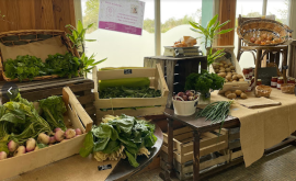 Saveurs de la terre légumes - Au rendez-vous des Normands