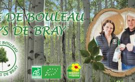 Céline et Damien, producteurs de sève de bouleau biologique