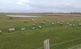 GAEC de la Vanlée extérieur - Au rendez-vous des Normands