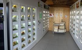 Jardin d'Etienne distributeur - Au rendez-vous des Normands