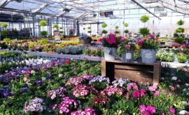 La Serre intérieur - Au rendez-vous des Normands